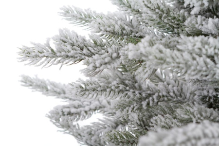 Елка "Аляска заснеженная"